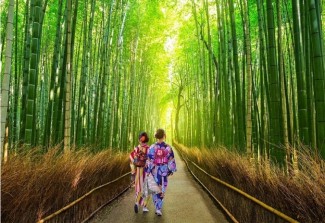 20 trải nghiệm tuyệt vời ở Kyoto suốt bốn mùa - Phần 2