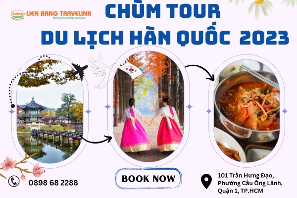 Chùm tour du lịch Hàn Quốc được yêu thích năm 2023