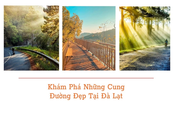 Khám Phá Những Cung Đường Đẹp Tại Đà Lạt