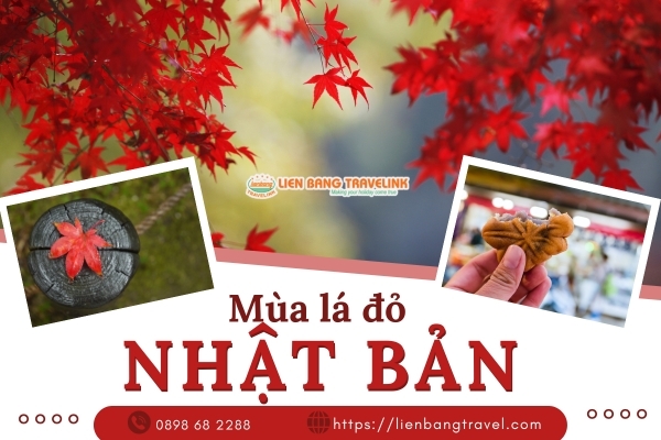 Mùa lá đỏ Nhật Bản có gì đẹp và hấp dẫn