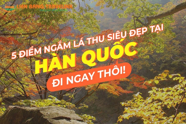 Những địa điểm thưởng thức Hàn Quốc mùa lá đỏ đẹp nhất