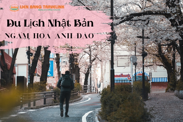 Những địa điểm thưởng thức Nhật Bản mùa xuân đẹp nhất