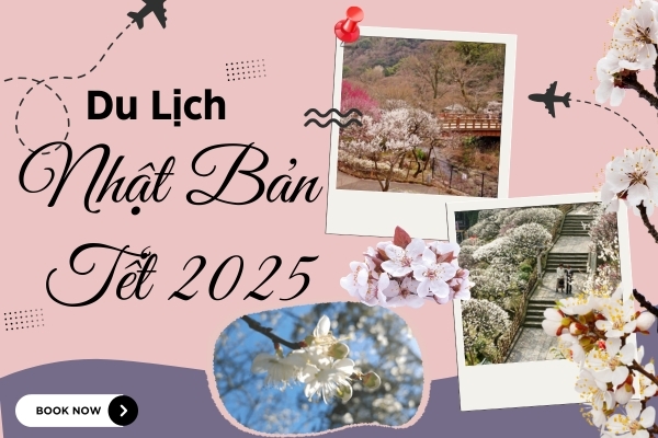 Tết 2025 Du Lịch Nhật Bản: Ngắm Hoa Mơ Đầu Xuân