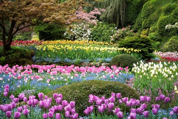 Du Ngoạn BỜ TÂY CANADA (6 Ngày 5 Đêm)