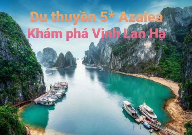 Du thuyền 5* khám phá Vịnh Lan Hạ