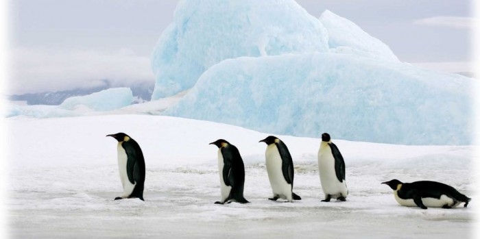 KHÁM PHÁ NEW ZEALAND: Bắc Đảo & Nam Đảo