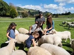 KHÁM PHÁ NEW ZEALAND: Bắc Đảo & Nam Đảo