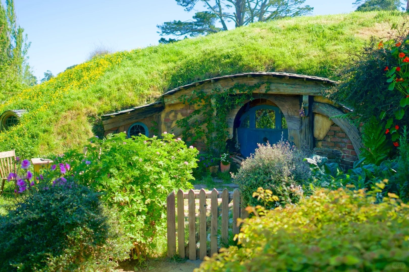 NEW ZEALAND: THIÊN ĐƯỜNG NAM BÁN CẦU AUCKLAND – MATAMATA – ROTORUA – WAITOMO – QUEENSTOWN – MILFORD SOUND – MT COOK – TEKAPO – CHRISTCHURCH