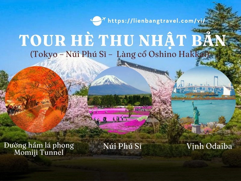 TOUR HÈ THU NHẬT BẢN bay VN (Tokyo – Núi Phú Sĩ – Làng cổ Oshino Hakkai) 4N4Đ