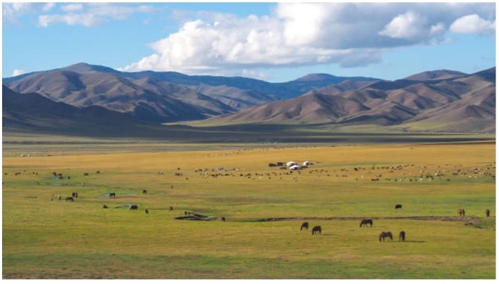 TOUR MÔNG CỔ: BẢN HÙNG CA THẢO NGUYÊN XANH: ULAANBAATAR - ELSEN TASARKHAI - ORKHON - KHARKHORIN VƯỜN QUỐC GIA HUSTAI - VƯỜN QUỐC GIA TERELJ