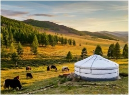 TOUR MÔNG CỔ: BẢN HÙNG CA THẢO NGUYÊN XANH: ULAANBAATAR - ELSEN TASARKHAI - ORKHON - KHARKHORIN VƯỜN QUỐC GIA HUSTAI - VƯỜN QUỐC GIA TERELJ