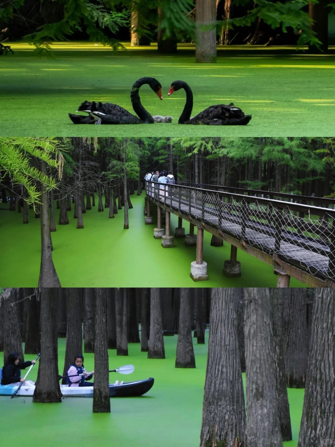 TRUNG HOA DU KÝ: THƯỢNG HẢI - HÀNG CHÂU - Ô TRẤN