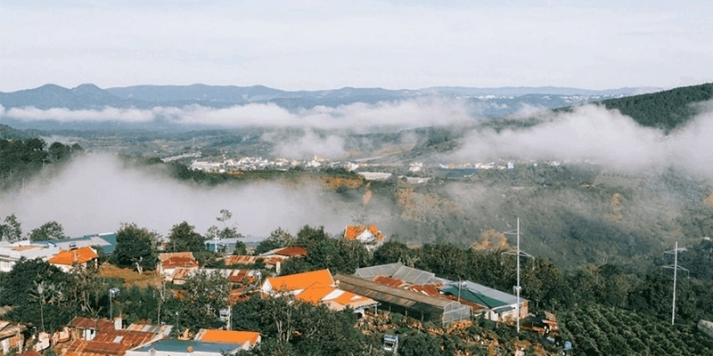 胡志明市- 大勒3日遊 