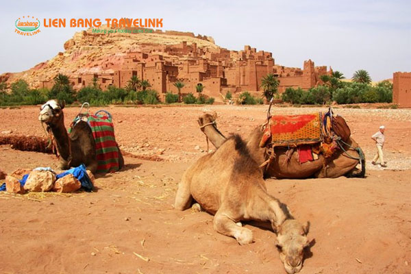 top-nhung-canh-dep-khi-du-lich-morocco