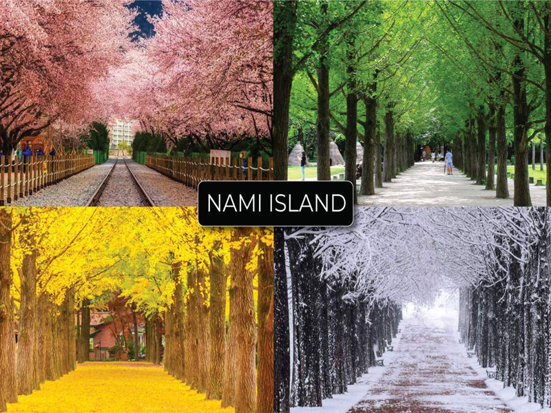 Cẩm nang du lịch Hàn Quốc cho người mê xê dịch