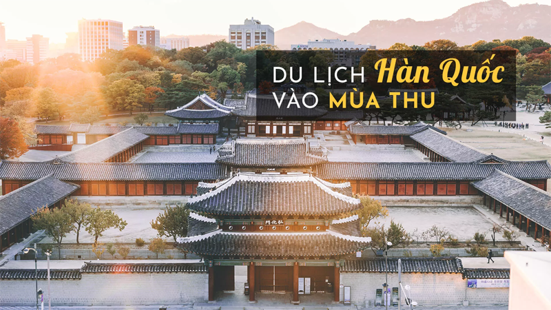 Tận hưởng không khí mùa thu Hàn Quốc