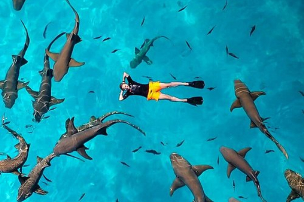 du-lich-quoc-dao-maldives