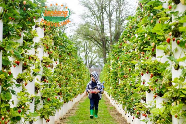Du lịch Úc : Các địa điểm nổi tiếng không thể bỏ qua hành trình Úc 7 ngày 6 đêm