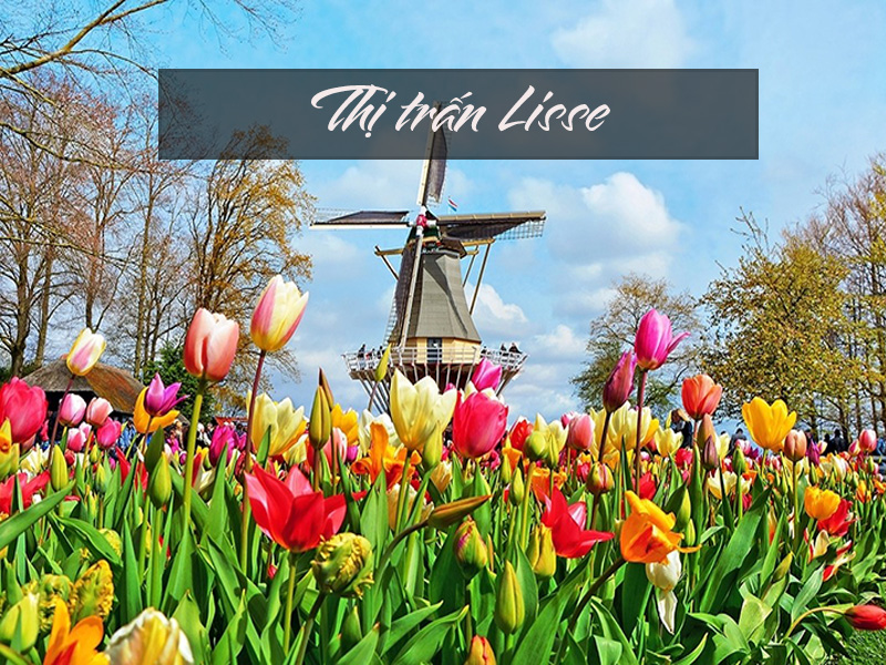 Du lịch xuân Châu Âu - rực rỡ sắc hoa Tulip