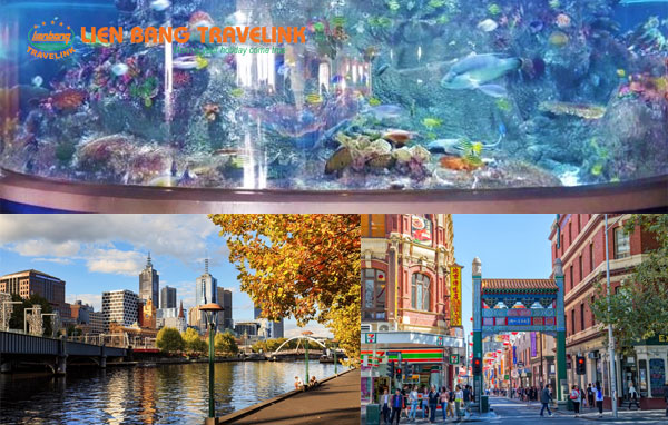 Những trải nghiệm không thể bỏ lỡ khi du lịch Úc